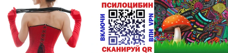 наркота  Невель  Псилоцибиновые грибы MAGIC MUSHROOMS 