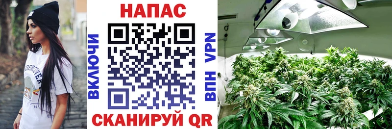 Шишки марихуана THC 21%  Невель 